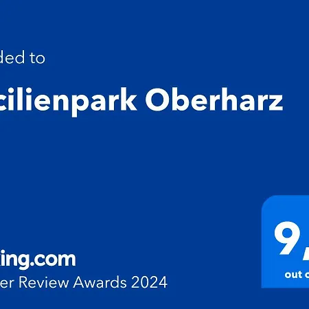 Вилла Cecilienpark Oberharz Гослар Экстерьер фото