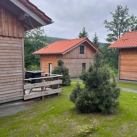 Вилла Cecilienpark Oberharz Гослар Экстерьер фото