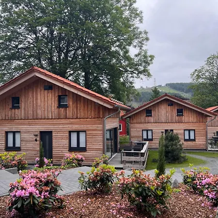 Вилла Cecilienpark Oberharz Гослар Экстерьер фото
