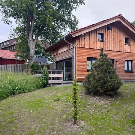 Вилла Cecilienpark Oberharz Гослар Экстерьер фото