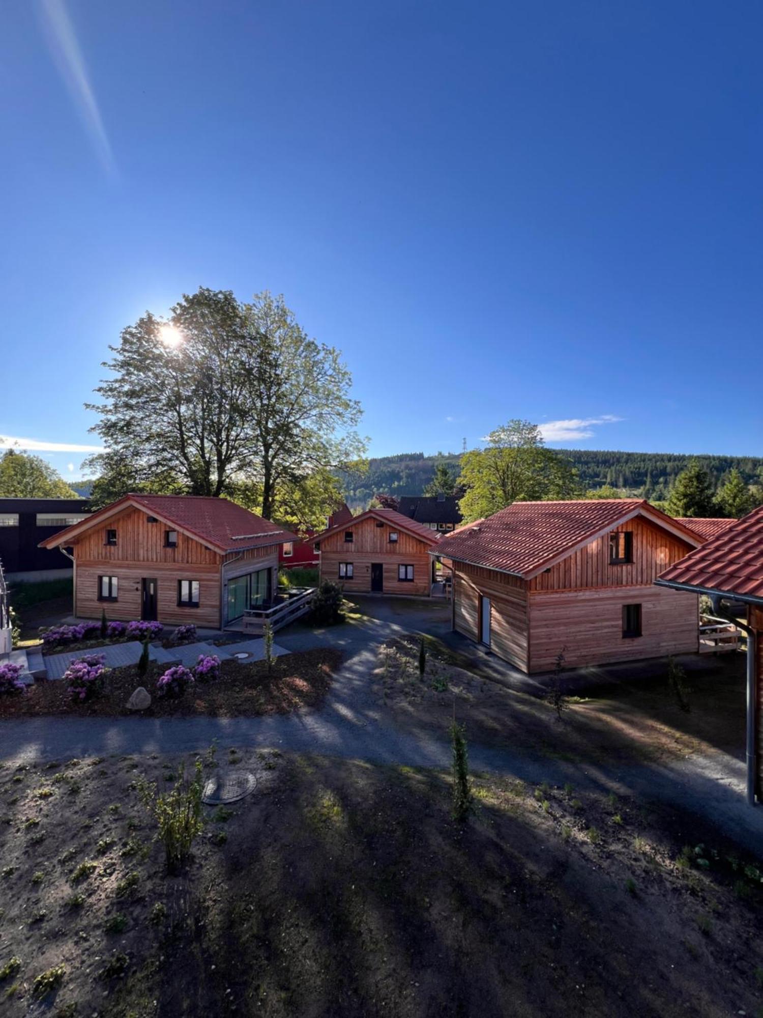 Cecilienpark Oberharz Holiday home *