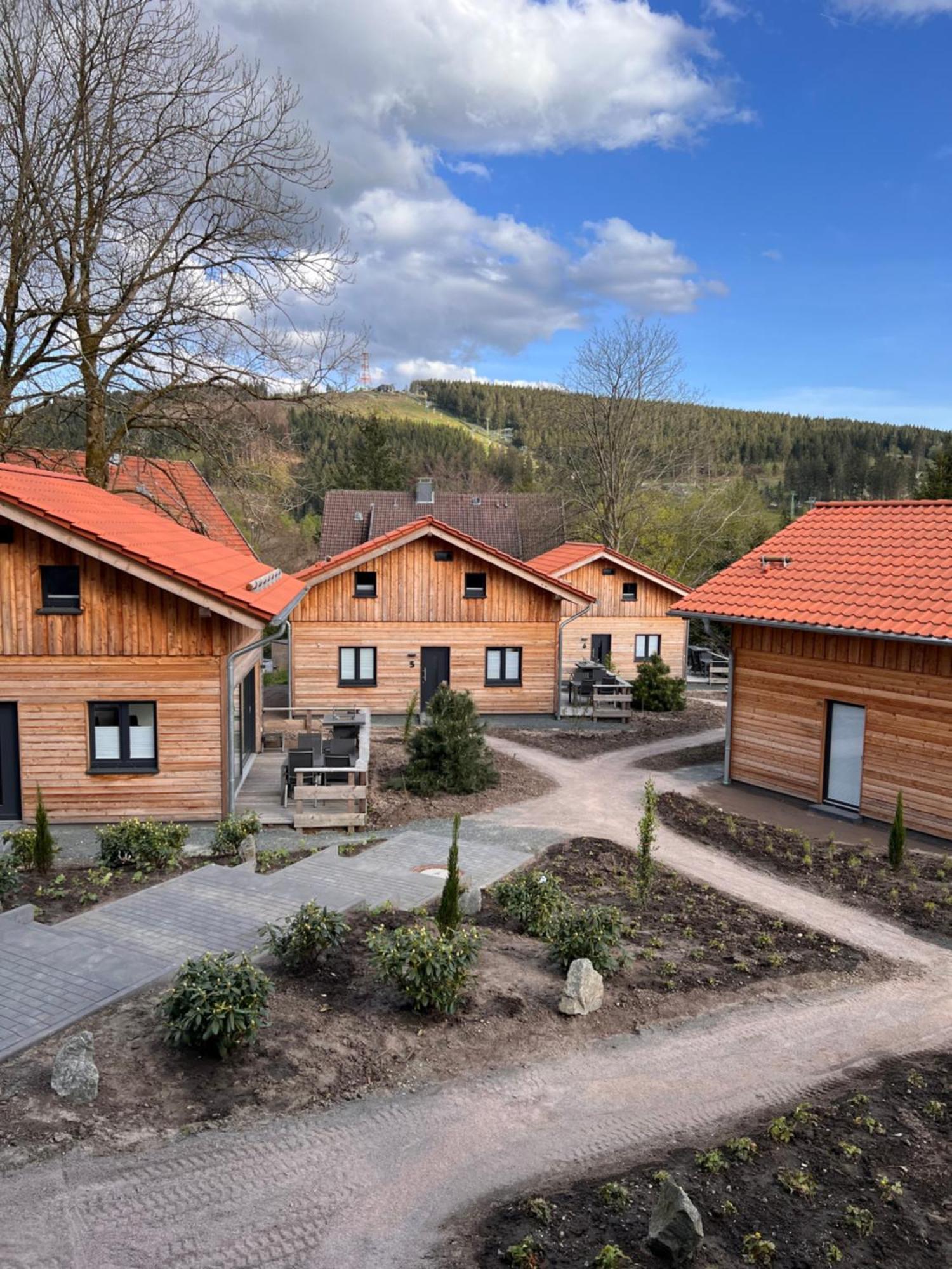 Cecilienpark Oberharz Holiday home Goslar
